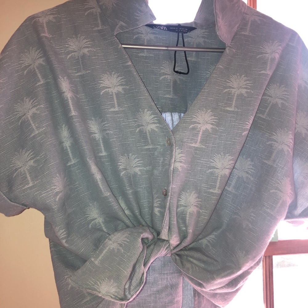 bady blue Zara palm tree top
